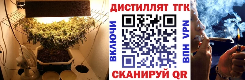 закладка Красный Холм Дистиллят ТГК вейп