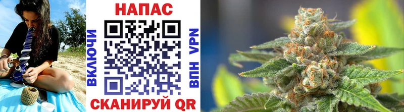 купить   Красный Холм  Бошки Шишки Ganja 